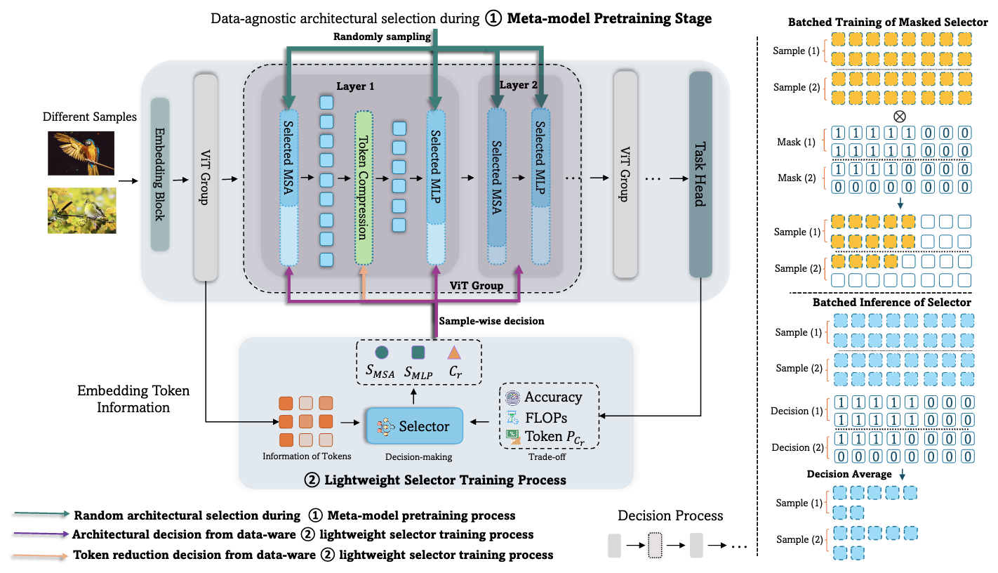 Prance: Joint token-optimization and structural channel-pruning for adaptive vit inference