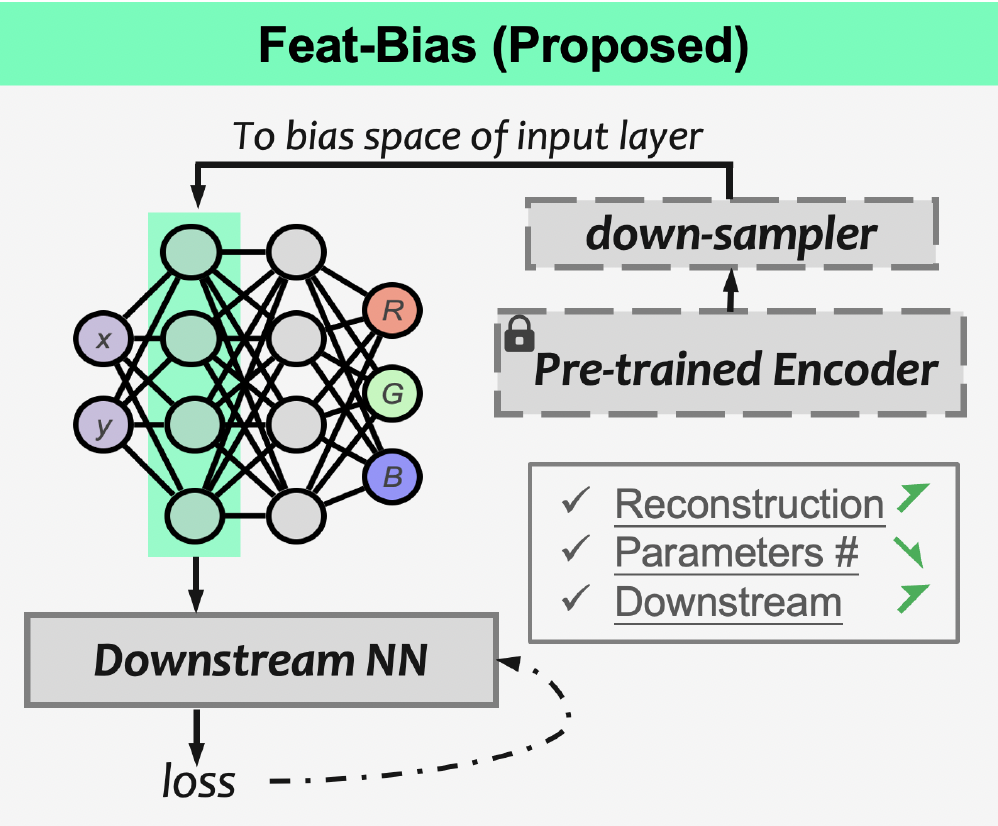 Understanding Bias Terms in Neural Representation